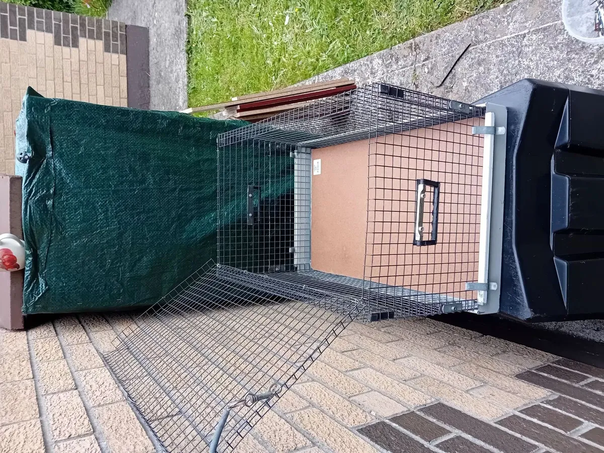 Cage - Image 4