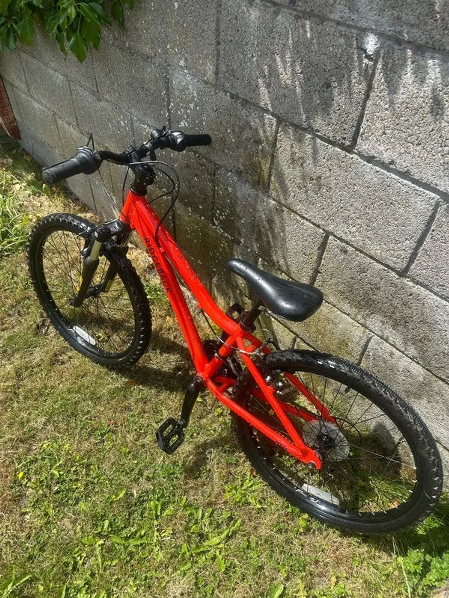 Ridgeback MX24 - Image 1