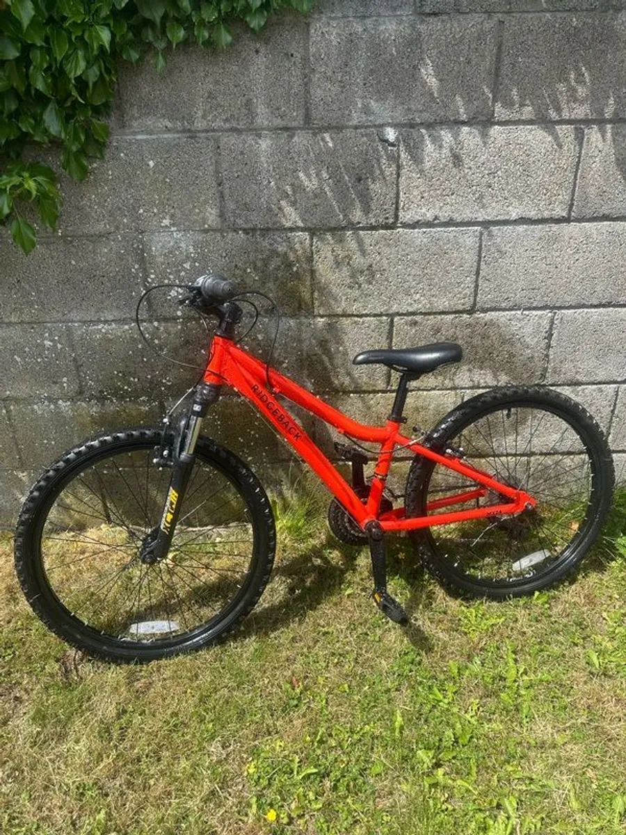 Ridgeback MX24 - Image 2
