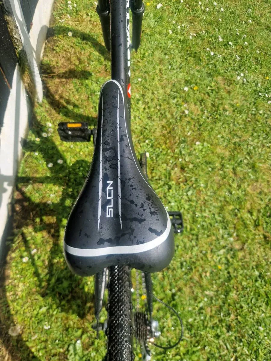 Bike - Image 2