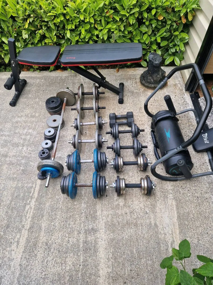 Home Gym Dumbbells - Image 1