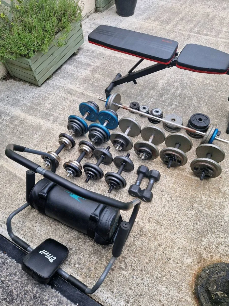Home Gym Dumbbells - Image 2