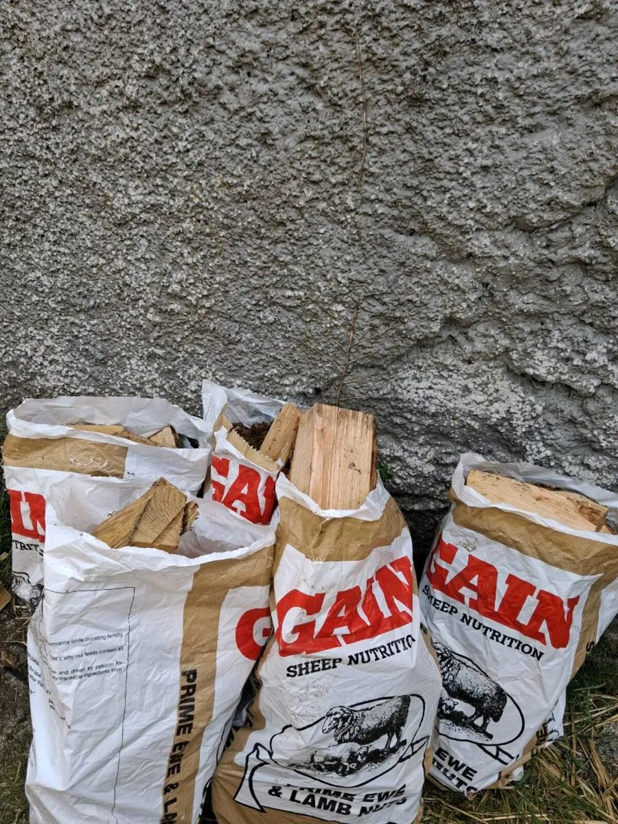 Firewood - Image 4