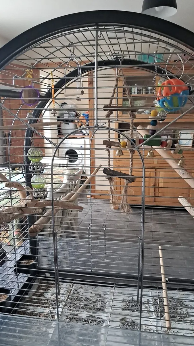 Parrot cage - Image 1