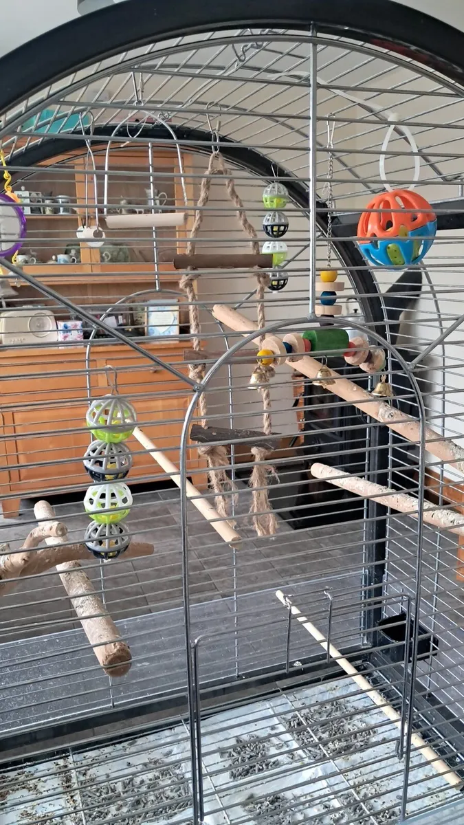 Parrot cage - Image 2