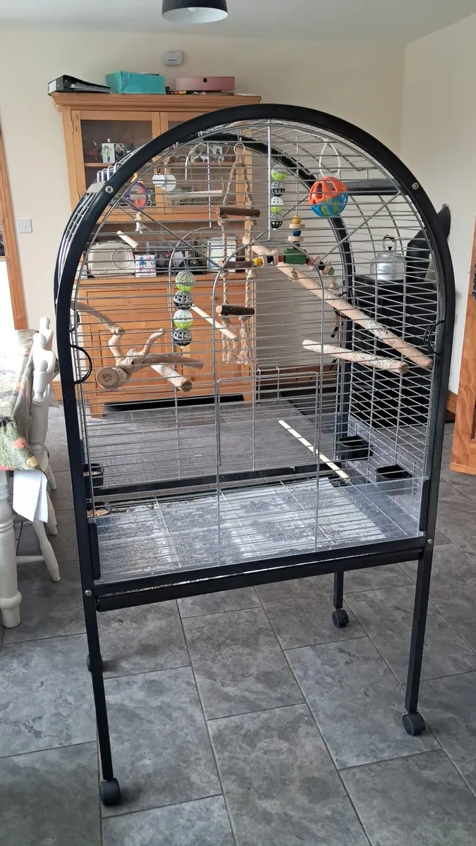 Parrot cage - Image 4