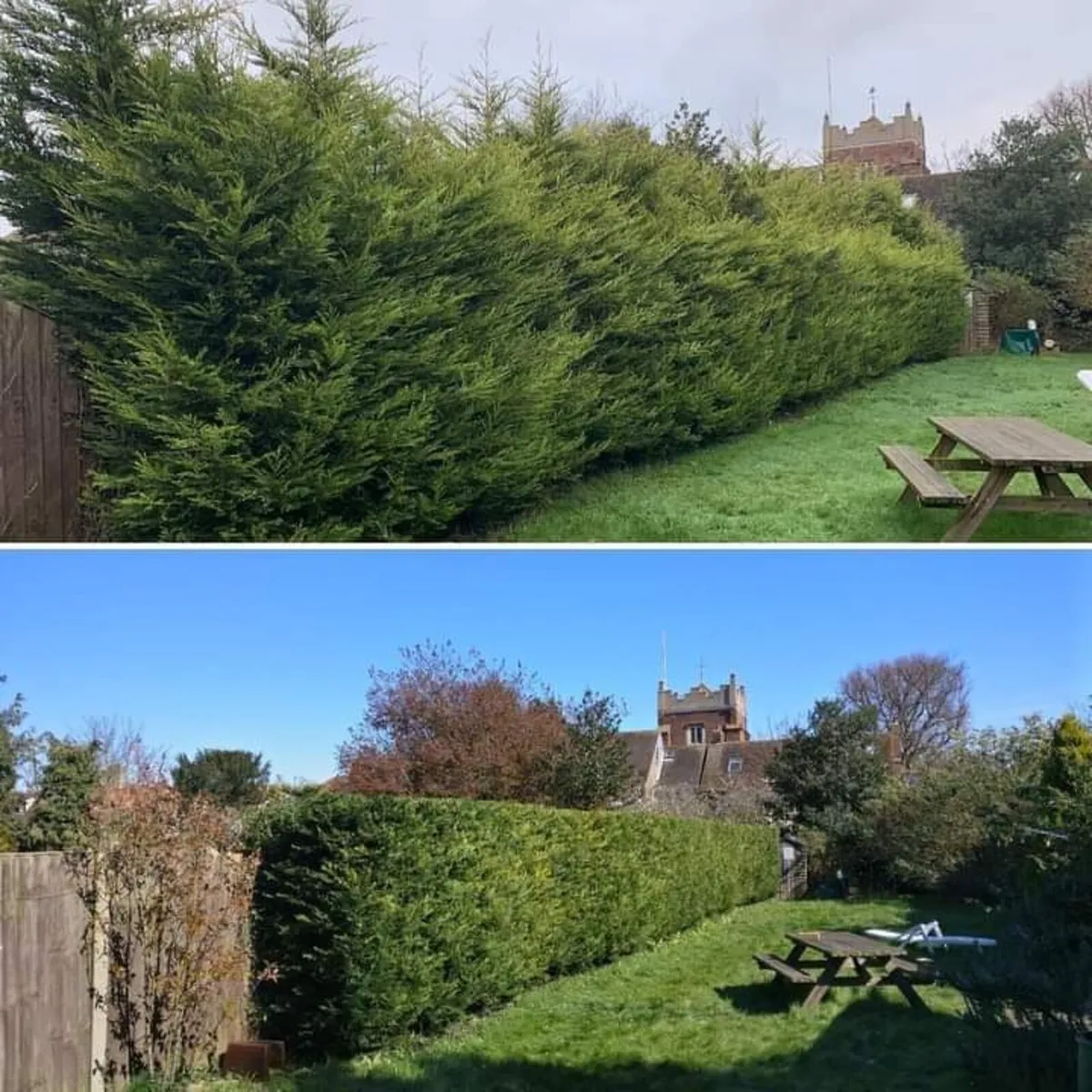 Tree and Garden services - Image 3