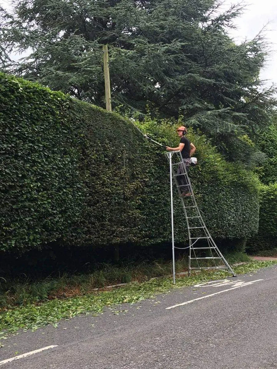 Tree and Garden services - Image 1