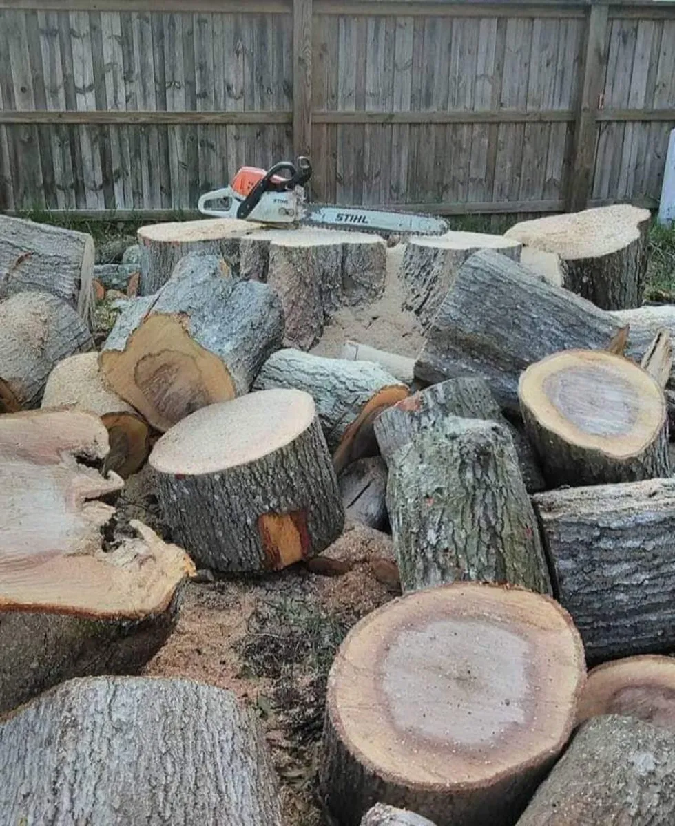 Tree and Garden services - Image 2