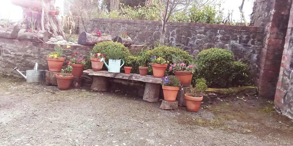 Terracotta Flower Planters Cauley's Garden - Image 1
