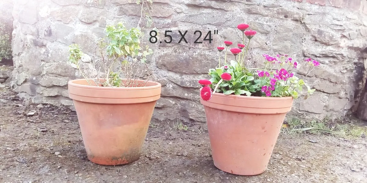 Terracotta Flower Planters Cauley's Garden - Image 2