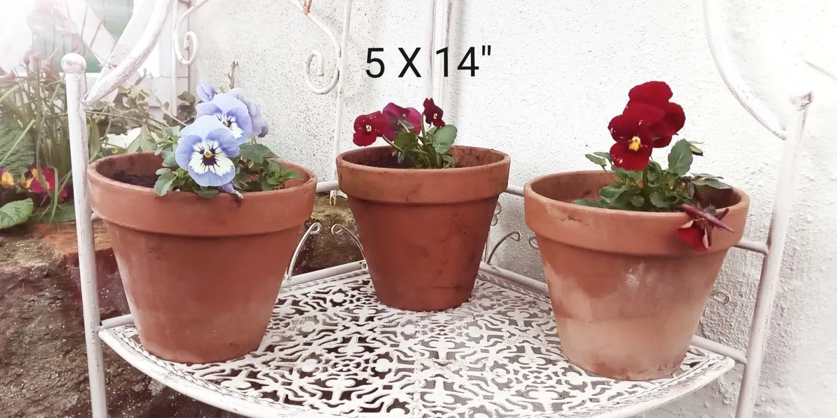 Terracotta Flower Planters Cauley's Garden - Image 4