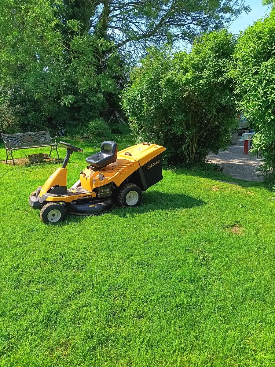 Ride on mower - Image 1