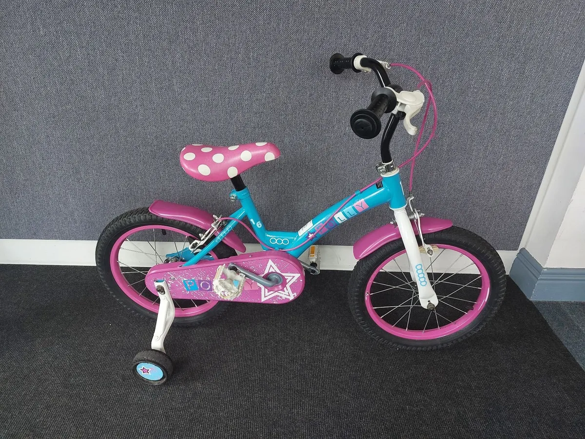 Polly 16 - Image 1