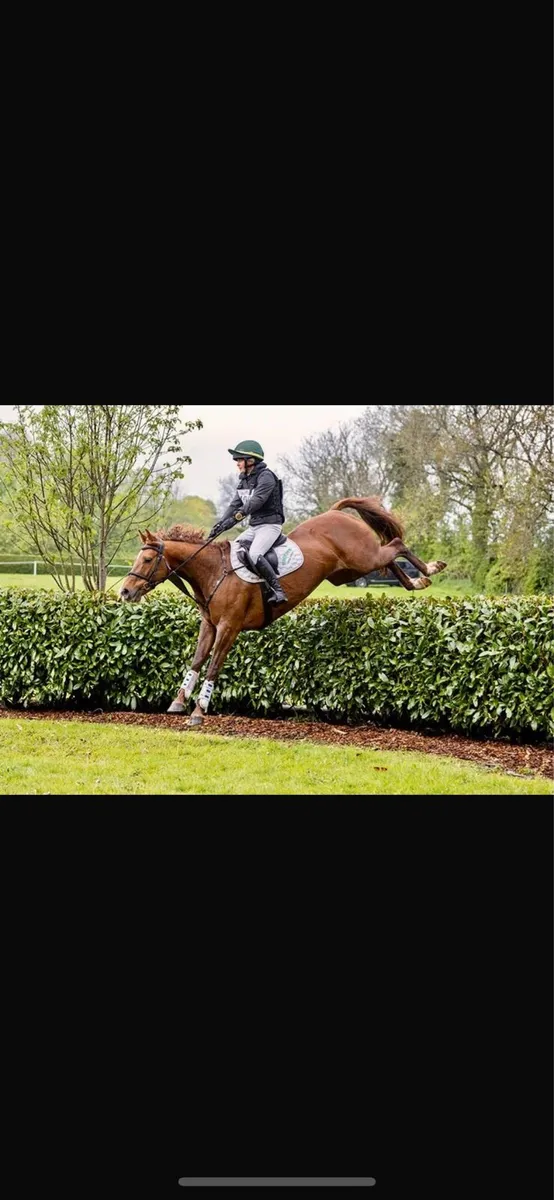 15 2 event / sj / all rounder - Image 1