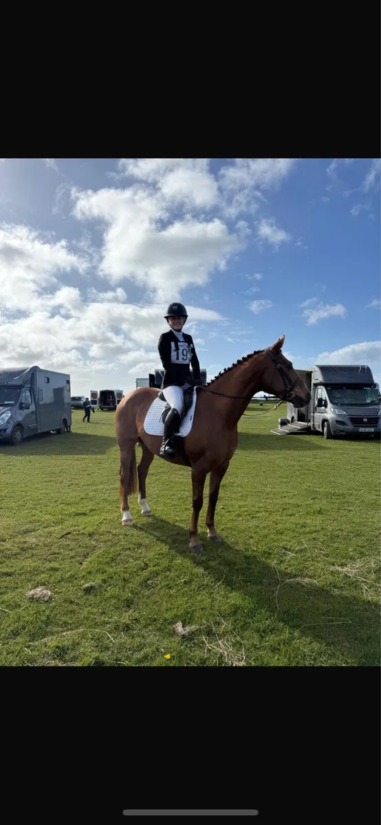 15 2 event / sj / all rounder - Image 2