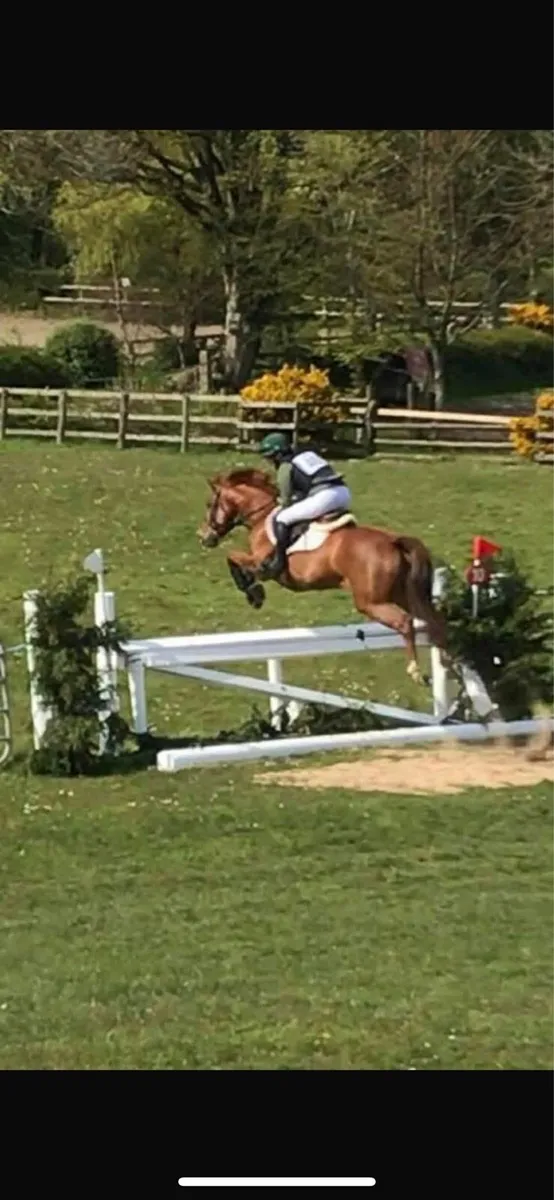 15 2 event / sj / all rounder - Image 3
