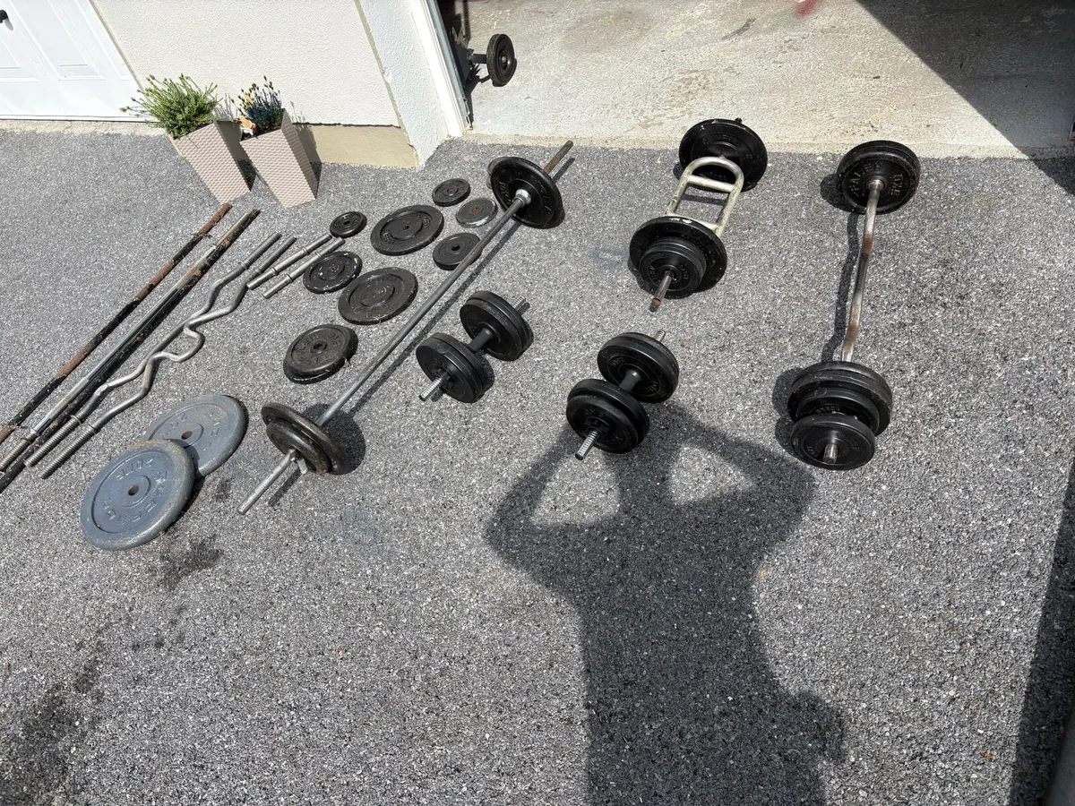 Home gym weights - Image 1