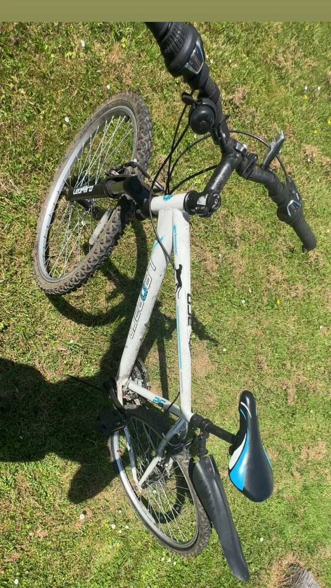 Bike - Image 1