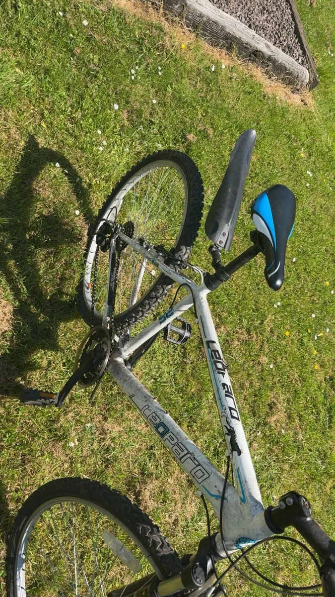 Bike - Image 2