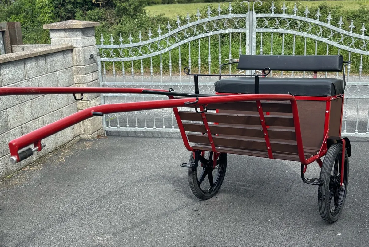Brand New Duhig Road Cart - Image 2