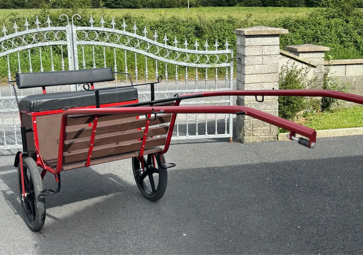 Brand New Duhig Road Cart - Image 3
