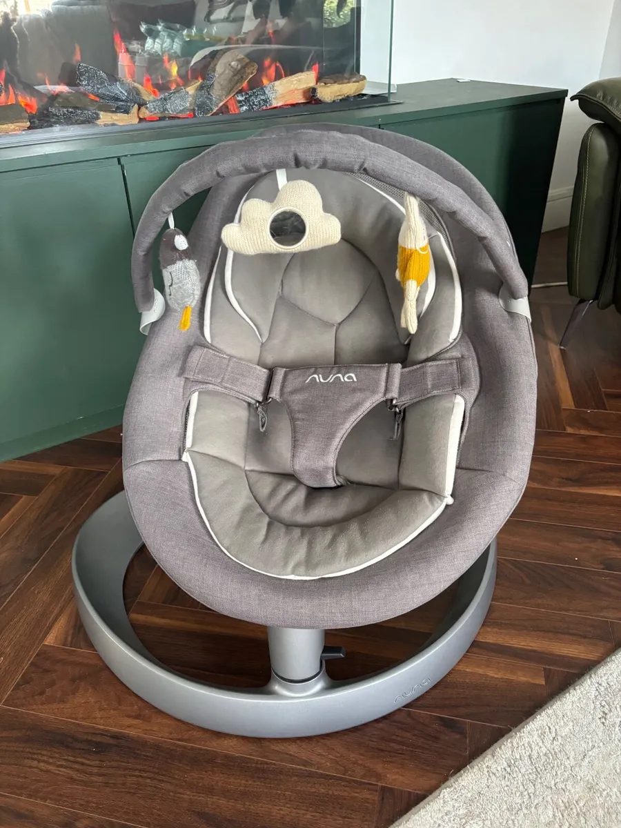 Baby swing - Nuna leaf - Image 1