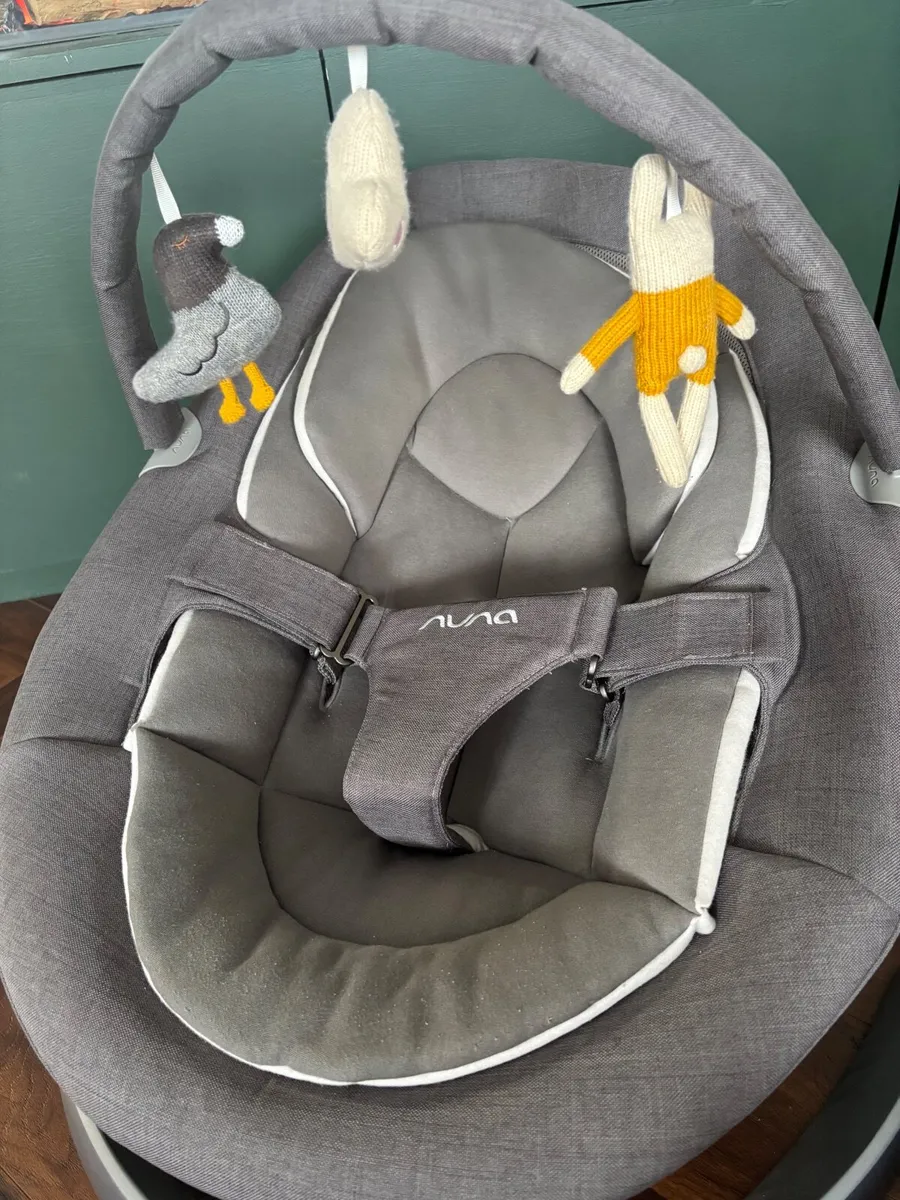 Baby swing - Nuna leaf - Image 2