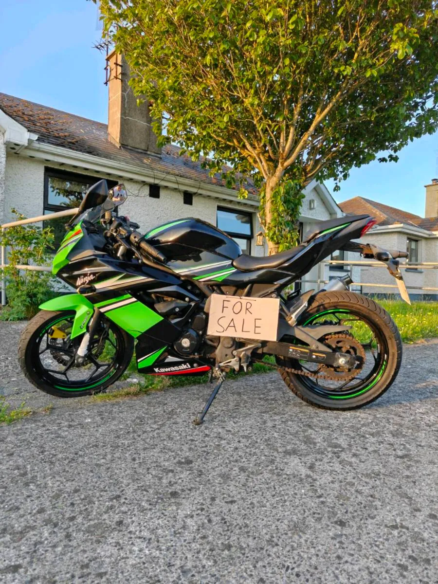 Kawasaki Ninja 250SL KRT edition - Image 2