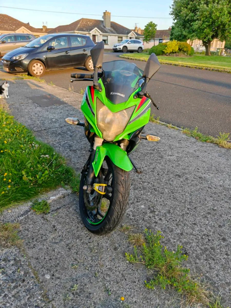 Kawasaki Ninja 250SL KRT edition - Image 4