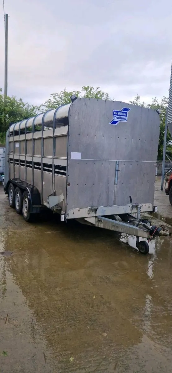 Ifor Williams 14ft Tri-Axel Trailer - Image 2