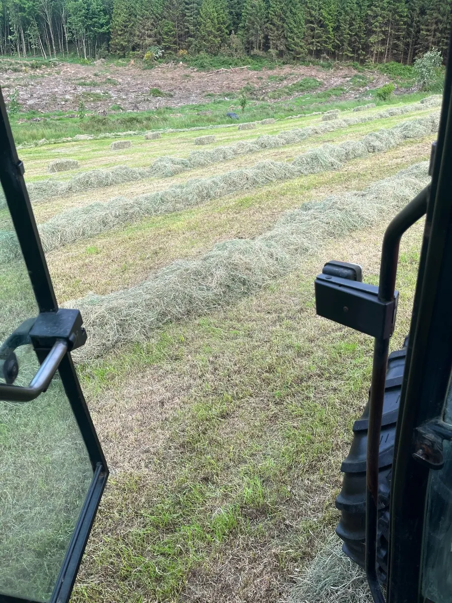 Square bales of hay for sale - Image 2