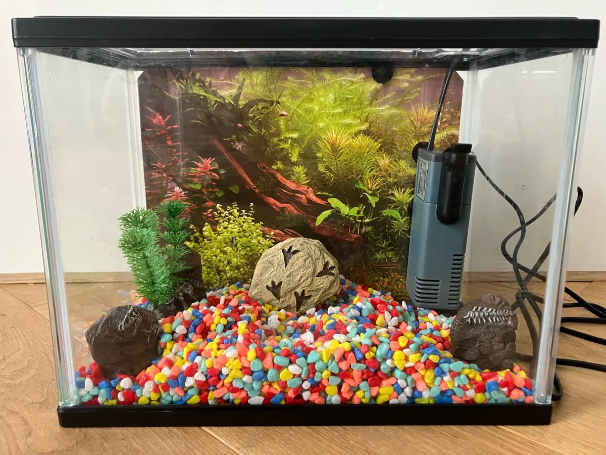 Fish tank Starter Aquarium - Image 1