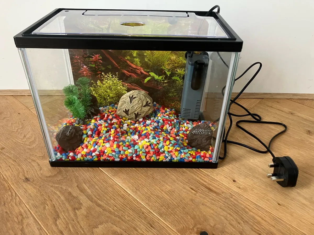 Fish tank Starter Aquarium - Image 2