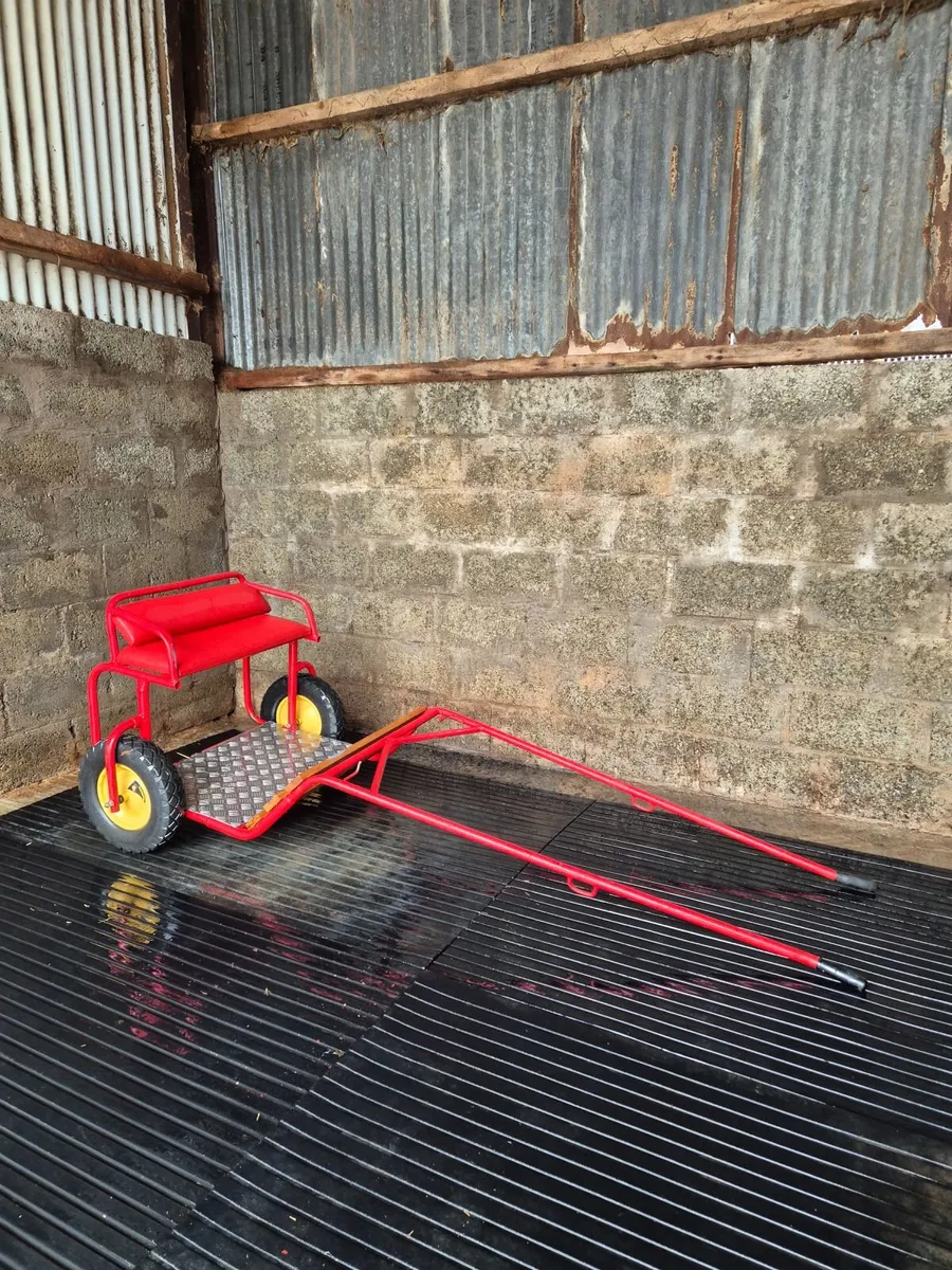Shetland/Small Pony Cart. Sell or PX. - Image 1