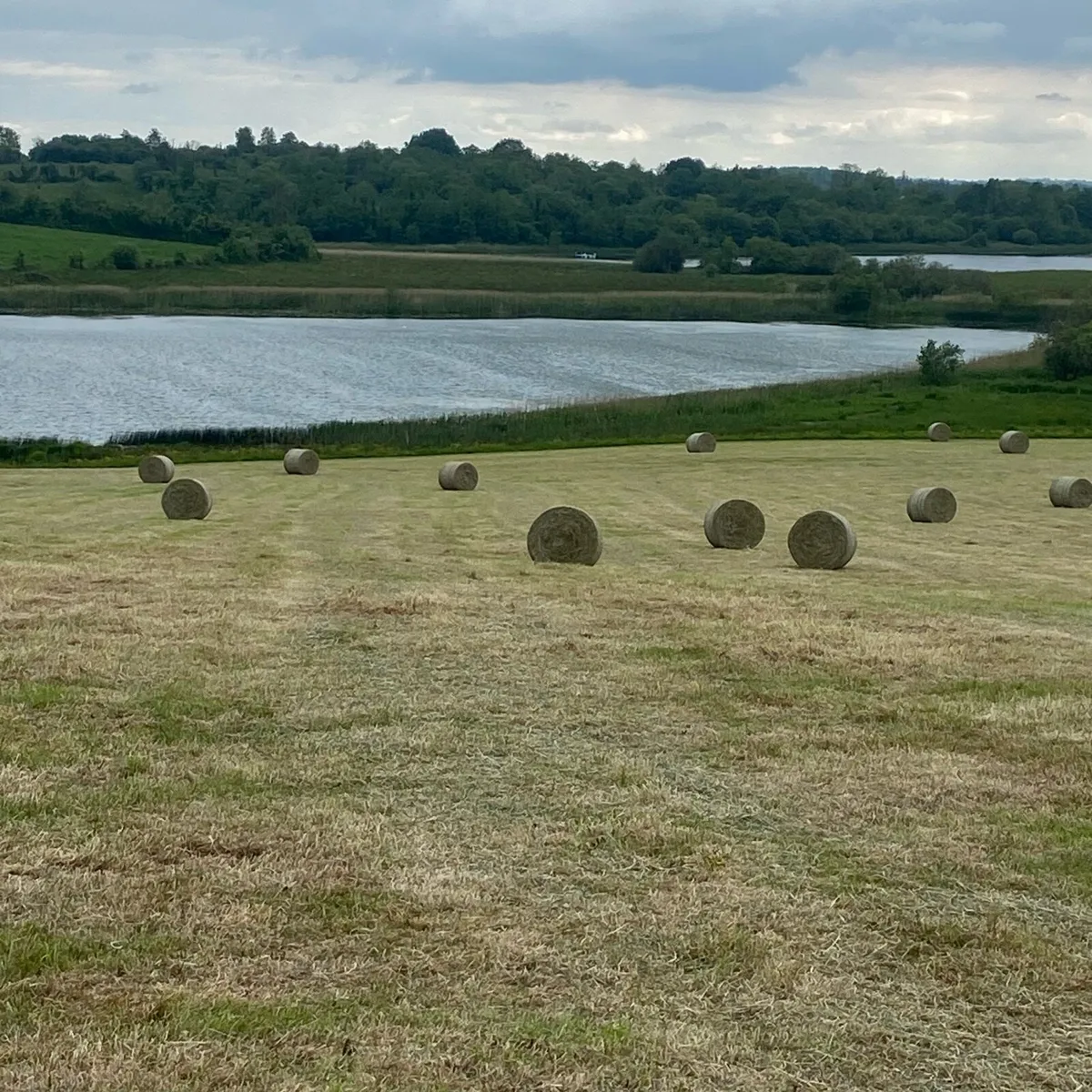 Hay bales - Image 2