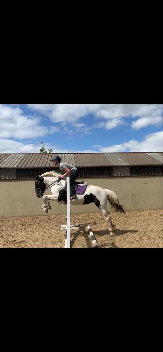 All rounder ⭐️ - Image 1