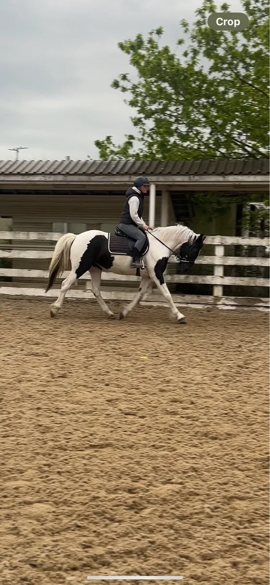 All rounder ⭐️ - Image 4