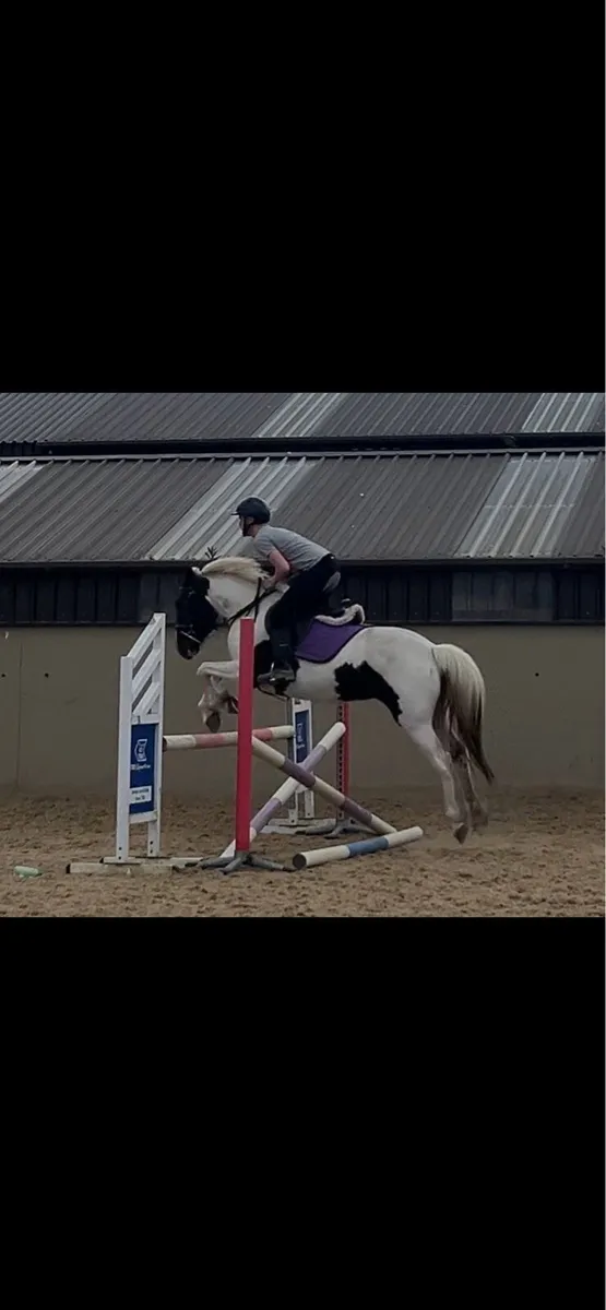 All rounder ⭐️ - Image 2