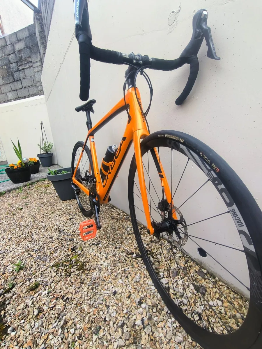 Orbea Carbon Road Bike – Shimano Ultegra. - Image 1