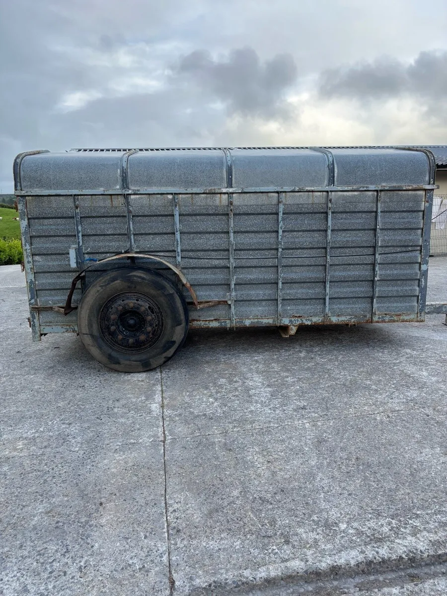 Cattle trailer - Image 4