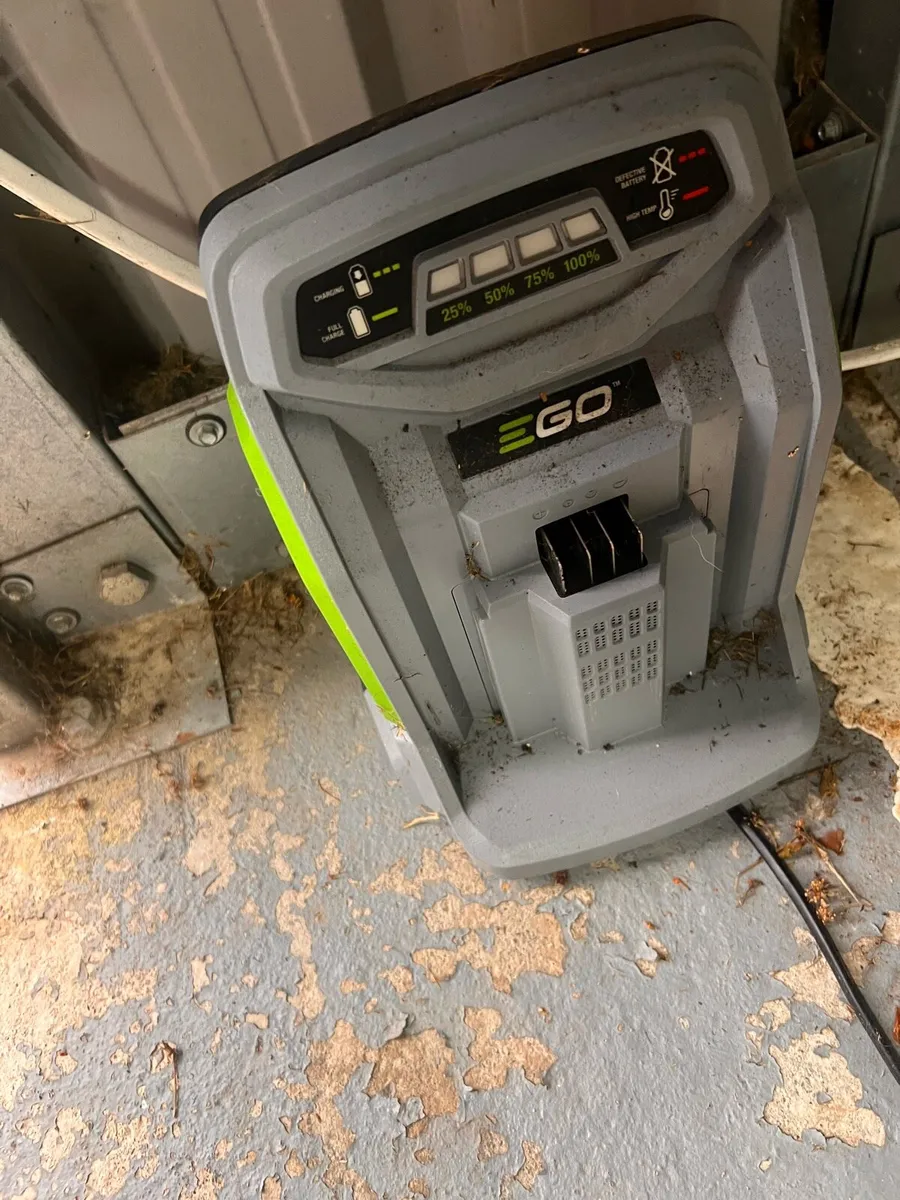 EGO Strimmer BCX4500 - Image 3