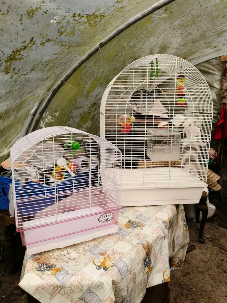 Large bird cage, small together lot 50 Euro - Image 2