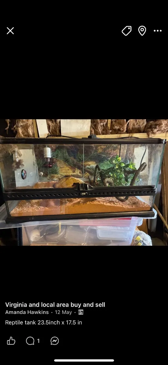 reptile tank  €50 - Image 1