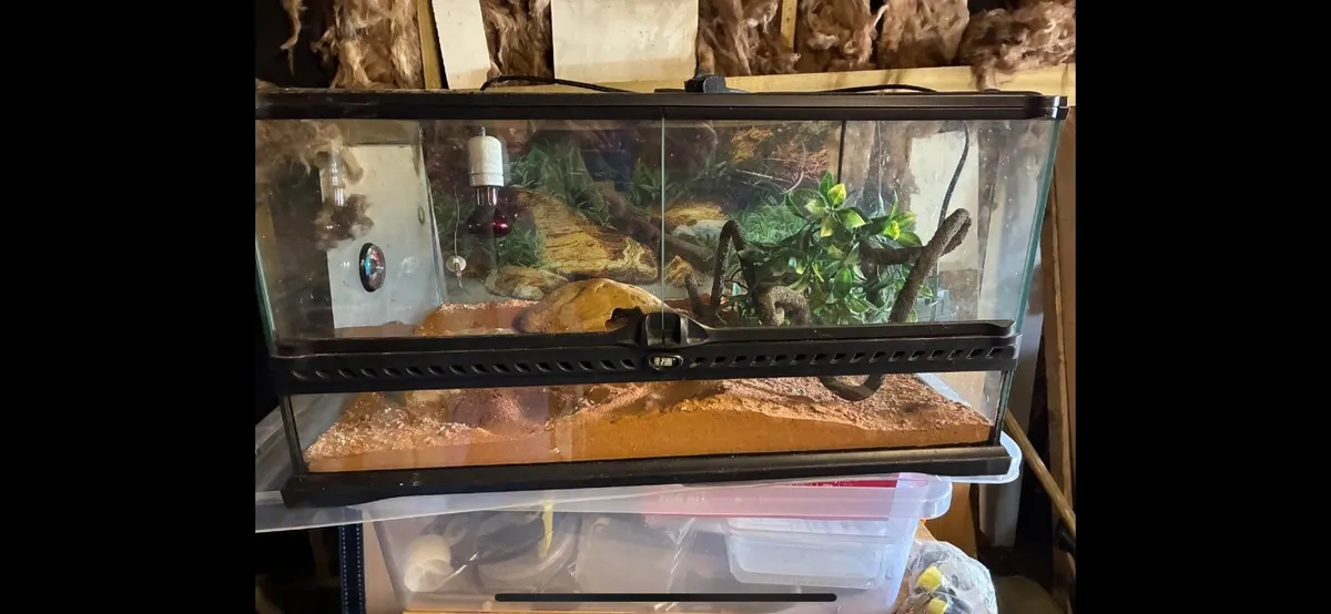 reptile tank  €50 - Image 2