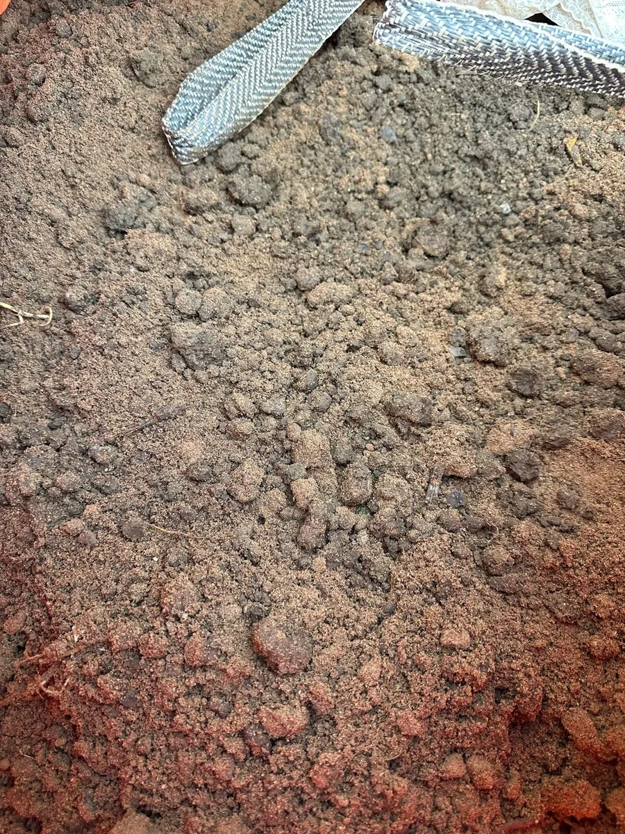 Free Garden Soil - Collection Only in Citywest/D24 - Image 1