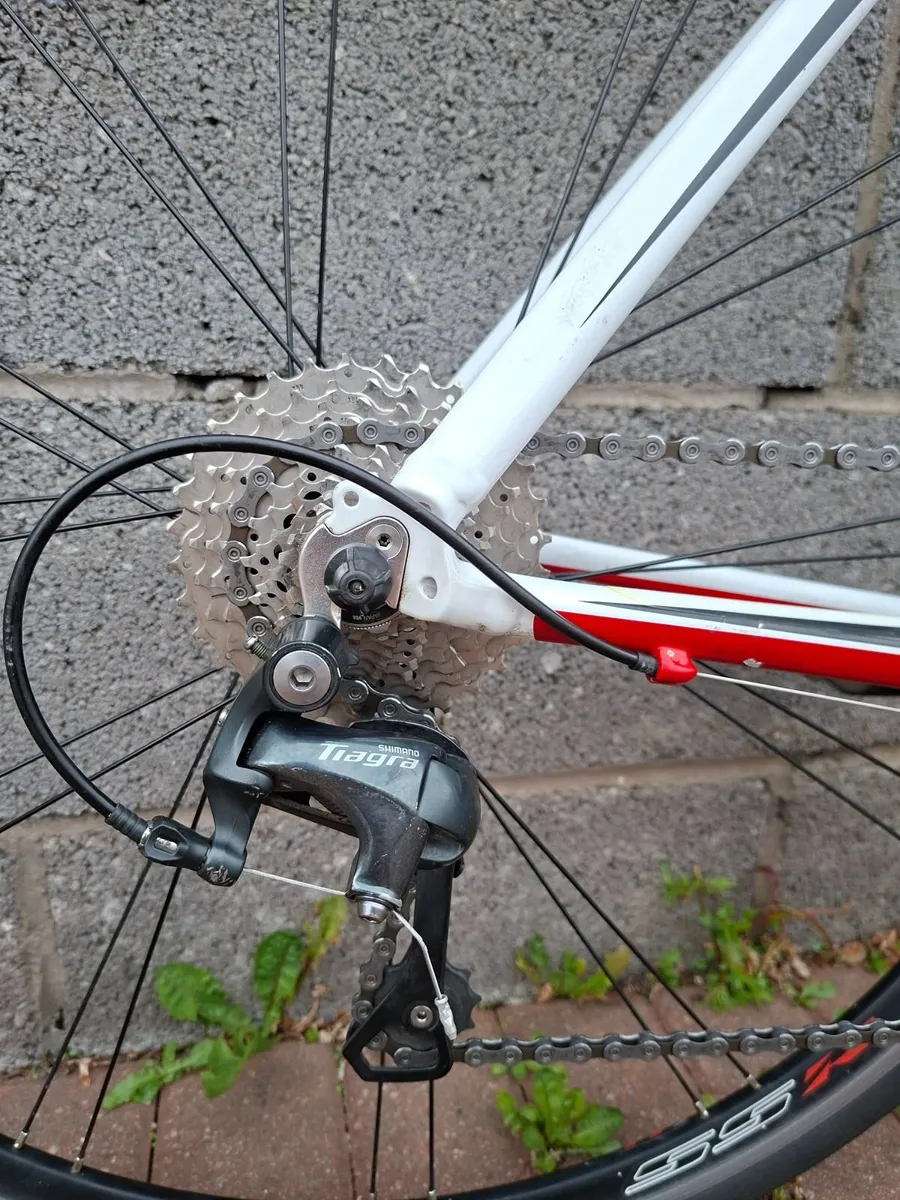 Trek 1.7 Road Bike Carbon Fork - Image 4