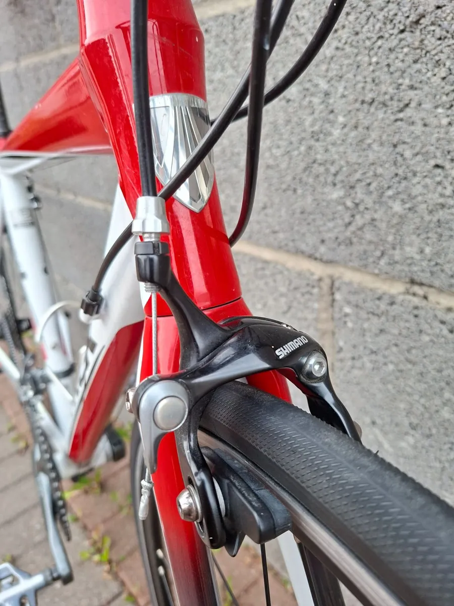 Trek 1.7 Road Bike Carbon Fork - Image 2