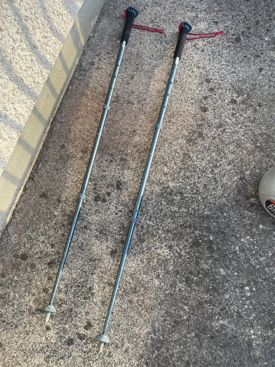 Hiking poles