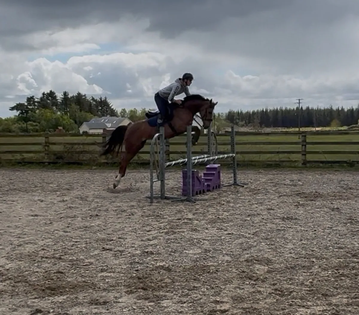 Two 4yr Old mares for showjumping/eventing - Image 1